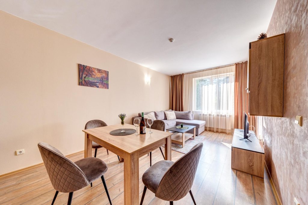 Просторната всекидневна на апартамента с една спалня на The Stream Resort Pamporovo